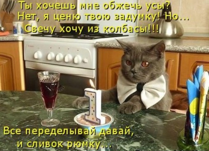 Смешная котоматрица