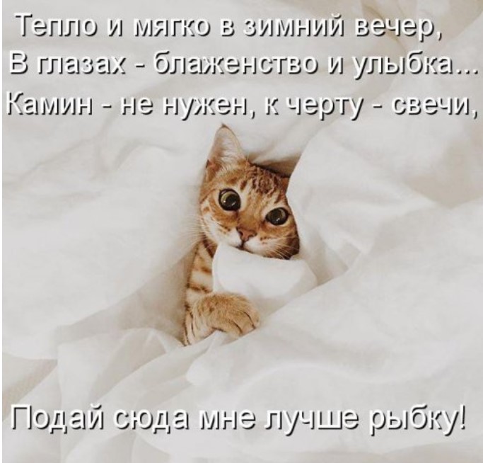 Свежая котоматрица