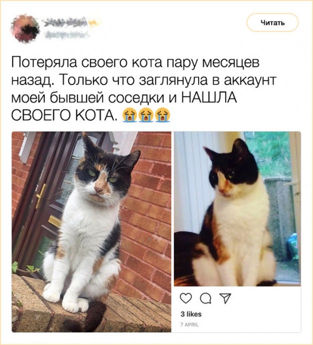 Твиты о сложных отношениях с соседями