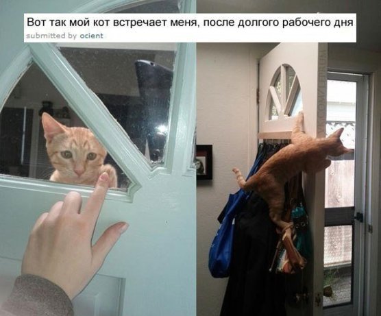 Смешные фотоприколы