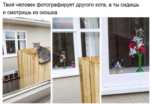 Забавное- на заднем плане