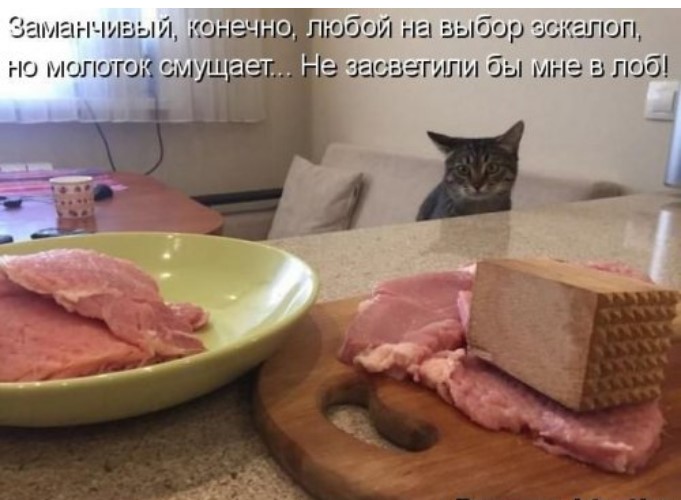 Смешная котоматрица