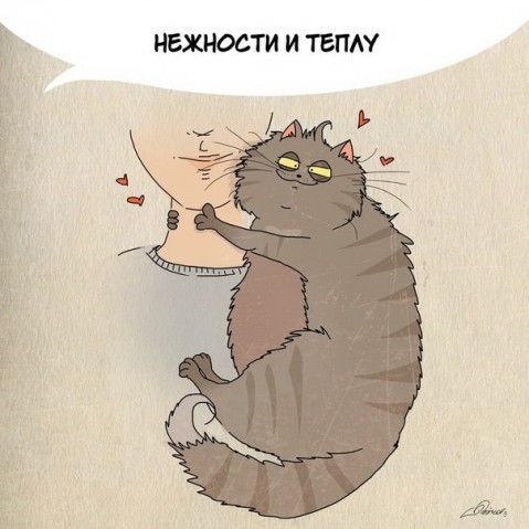 Нам есть чему поучиться у шерстяных друзей