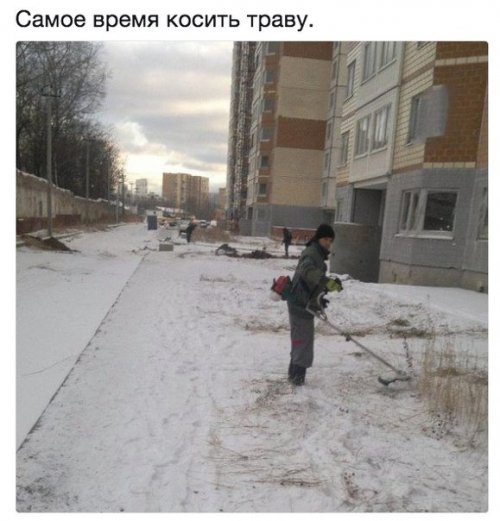 Свежие прикольные фотомемы