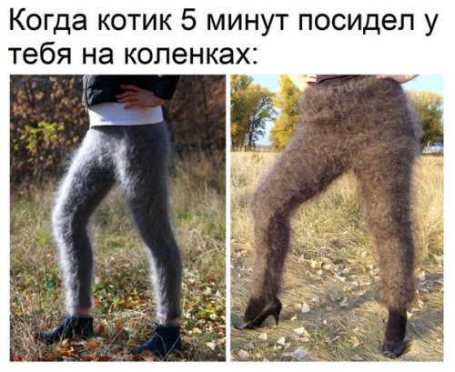 Новые фотомемы