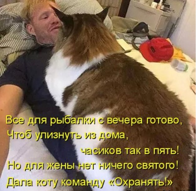 Новая котоматрица