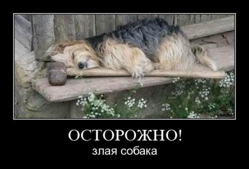 Новые прикольные демотиваторы