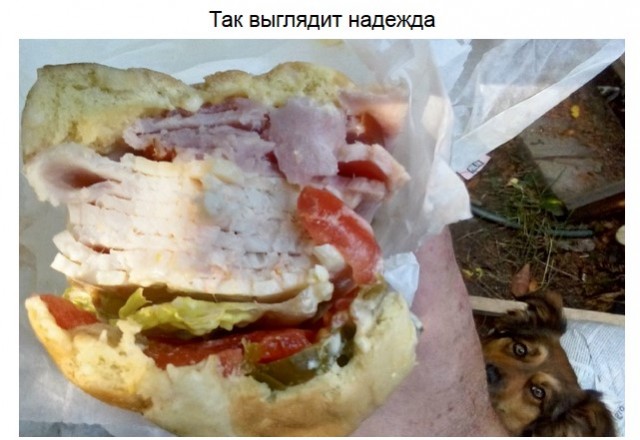 Забавное- на заднем плане