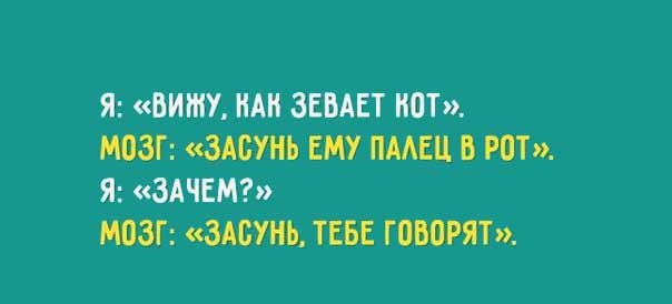 Я vs Мозг