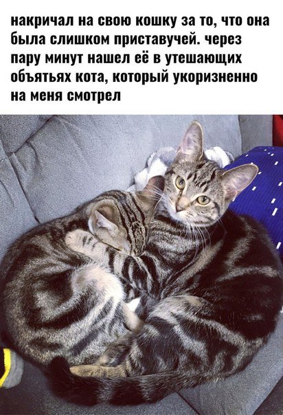 Свежие фотомемы для настроения