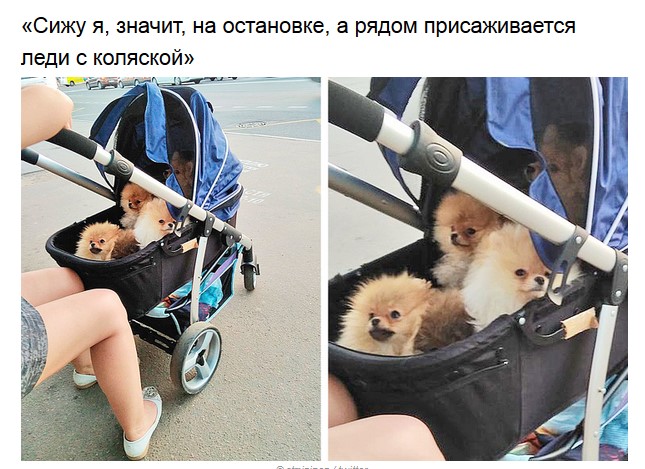 Пост невероятной милоты