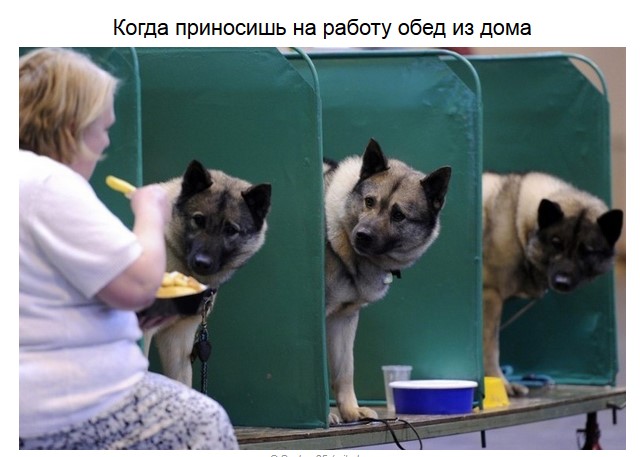 Как выглядит настоящая зависть