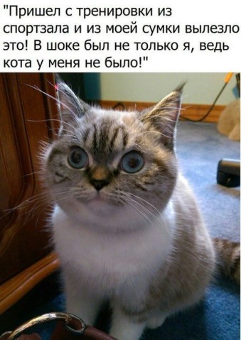 Забавные ситуации из соцсетей и комментарии к ним