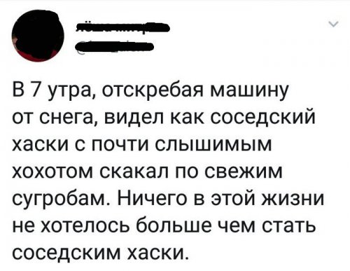 Прикольные комментарии из социальных сетей