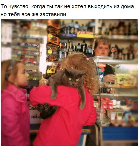 То чувство, когда..