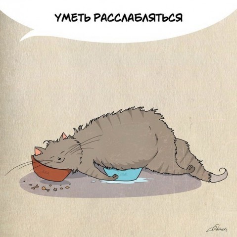 Нам есть чему поучиться у шерстяных друзей