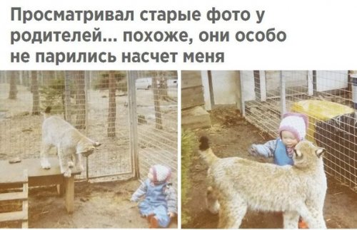 Свежая порция прикольных фотомемов