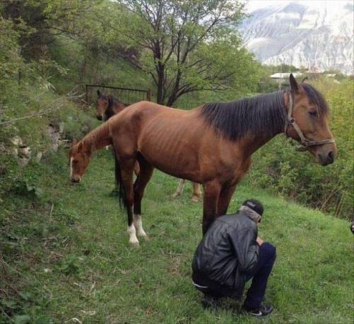 Прикольные фотографии, на которые придётся взглянуть дважды