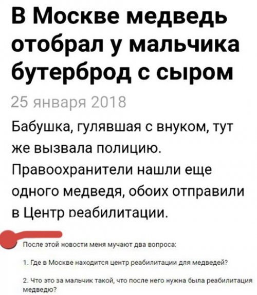 Смешные комментарии из социальных сетей