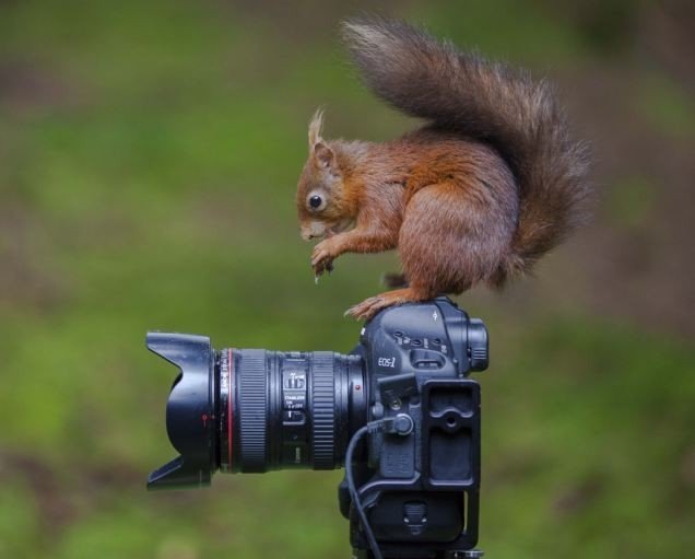 Кто тут лучший фотограф