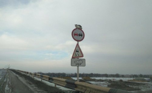 Фотоприколы на автотематику