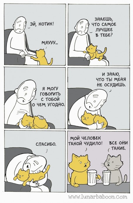 Немного мини-комиксов о котиках