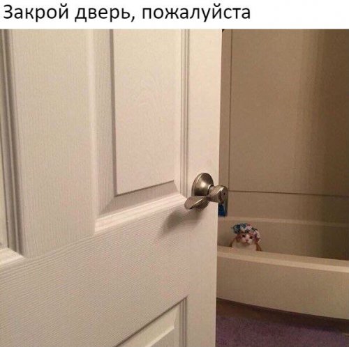 Свежие фотомемы для настроения