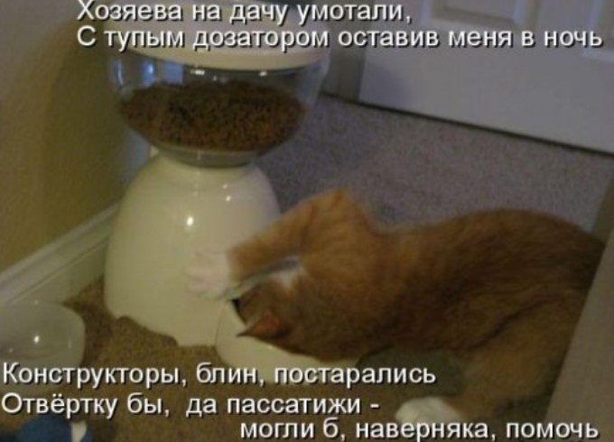 Новая котоматрица