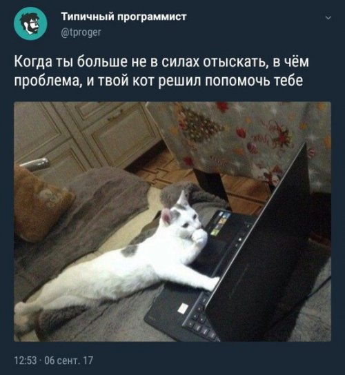 Смешные фотомемы