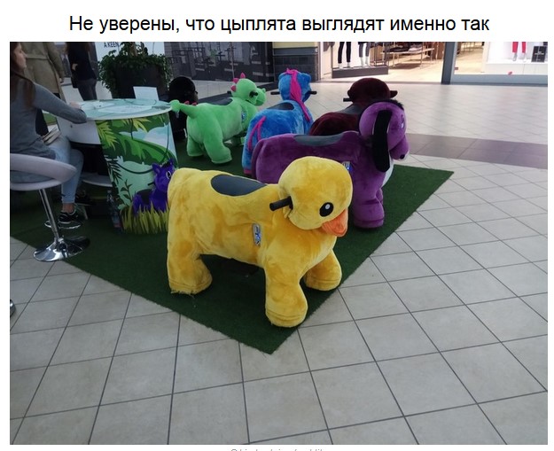 Самые странные дизайнерские решения