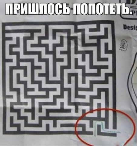 Смешные картинки с подписями