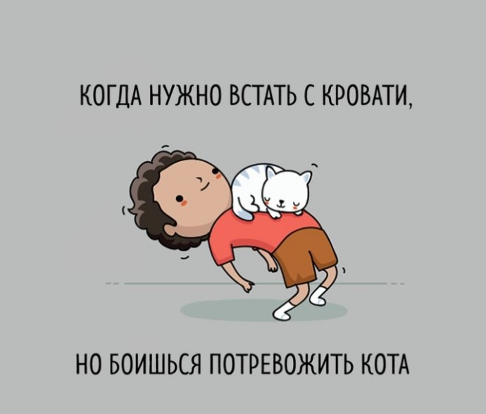Забавные мини-комиксы из мира животных