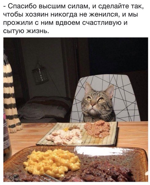 Свежие фотомемы для настроения