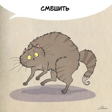 Нам есть чему поучиться у шерстяных друзей