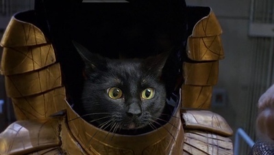 Фотожабы на кота Фотожабы на кота