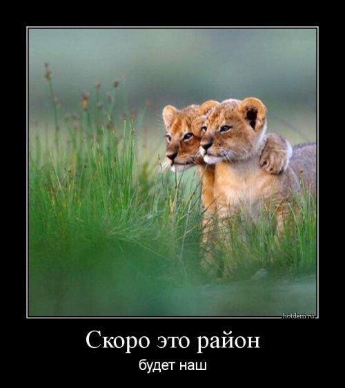 Прикольные демотиваторы
