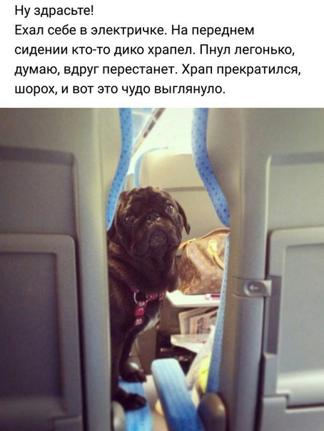 Свежие фотомемы для настроения