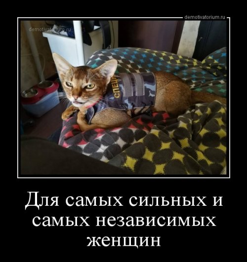 Смешные демотиваторы