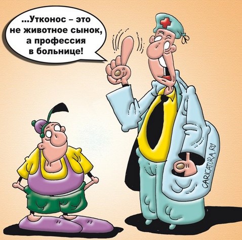 Не знаешь- не говори 0 Не знаешь- не говори 0