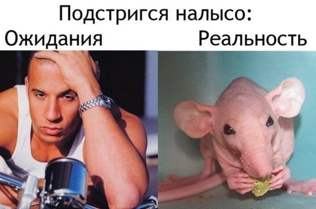 Смешные фотоприколы
