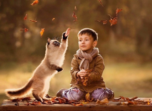 Коты и дети