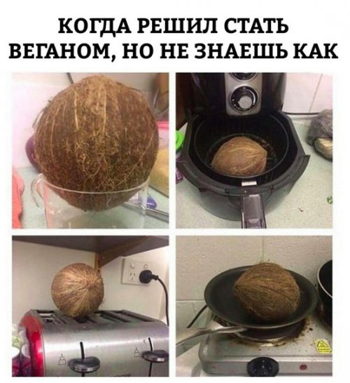 Новые прикольные фотомемы