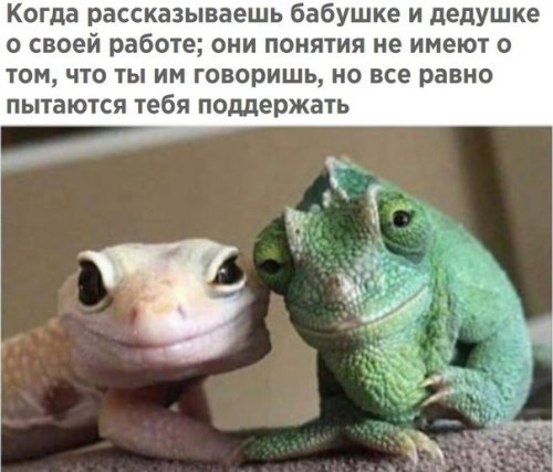 Новые прикольные фотомемы