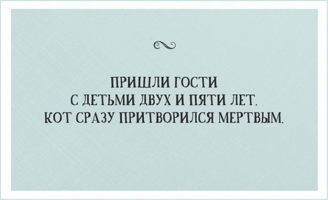 Забавные открытки с шутками