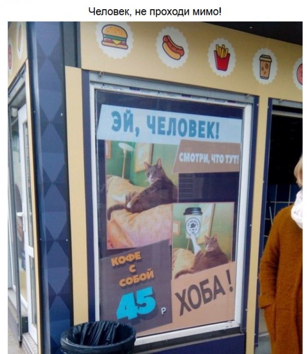 Забавные надписи и объявления