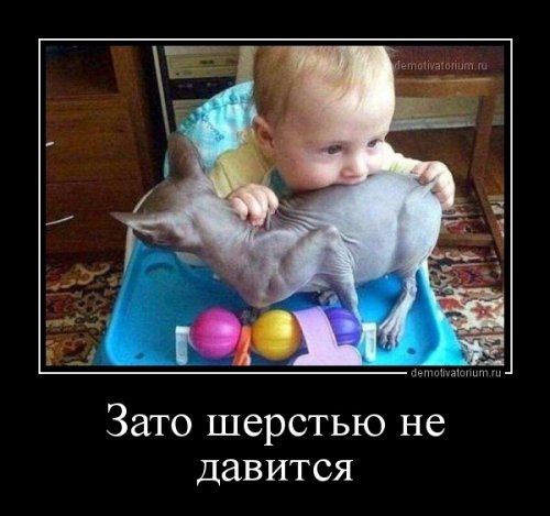 Свежие демотиваторы на любой вкус