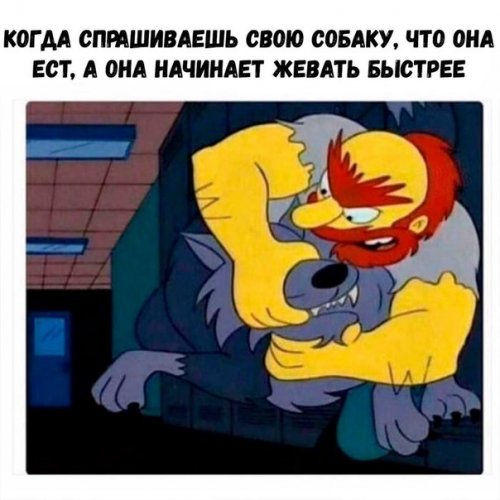 Смешные фотомемы