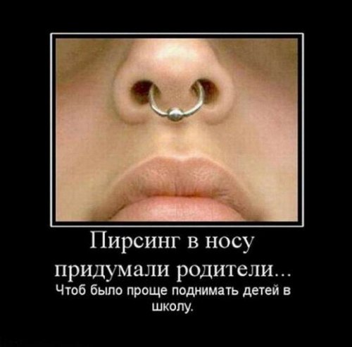 Демотиваторы на любой вкус