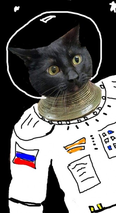 Фотожабы на кота Фотожабы на кота