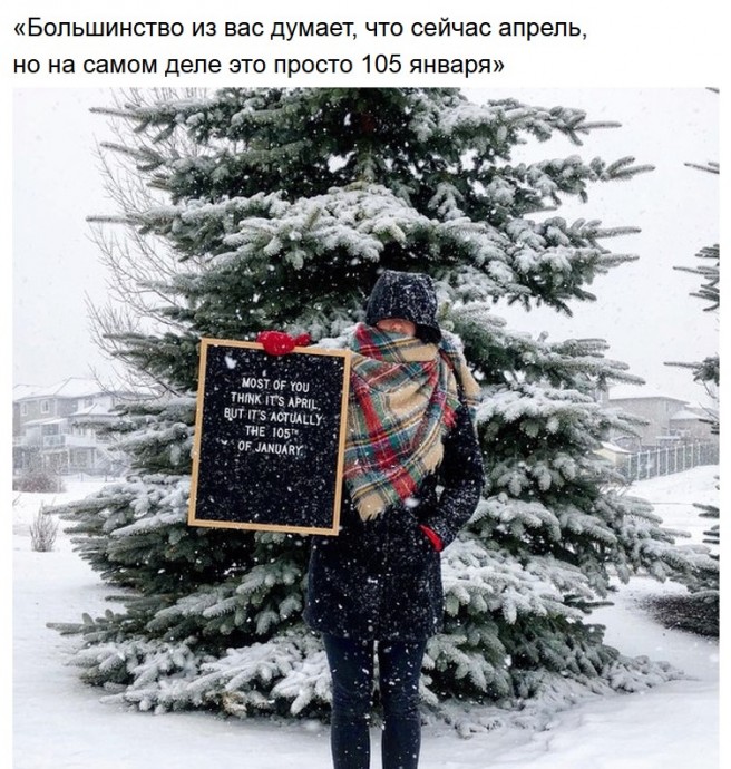Самые нелепые ситуации